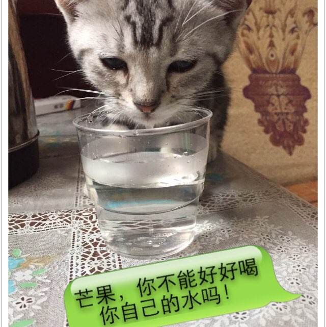 公证书怎么做副本